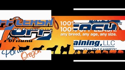 Find Best Dog Trainers in Portland - Portland Dog Trainer