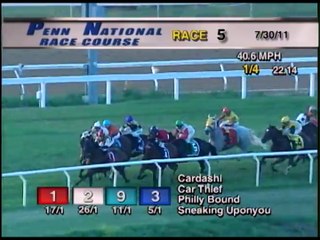 Remembering Ben's Cat