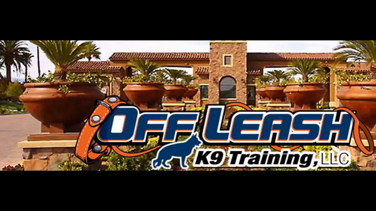 Best Dog Training Services Provider in Henderson - Henderson Dog Trainers