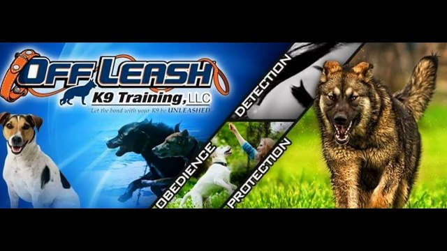 Baton Rouge Dog Trainer - Professional Dog Trainers in Baton Rouge