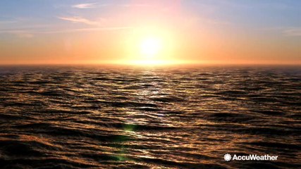 Surprising summer facts