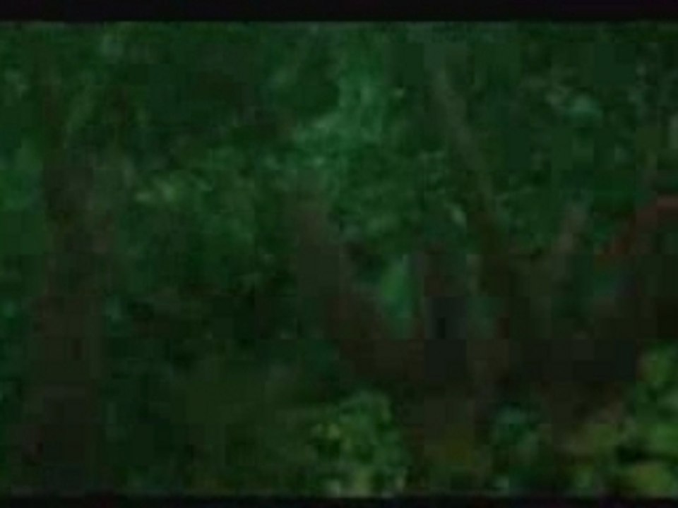 SUPER SMASH BRAWL DONKEY KONG AND DIDDY KONG