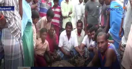 The Villagers Recovered the Deer From dogs-Oneindia Tamil