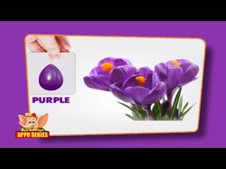 Flashcards for children - Colors