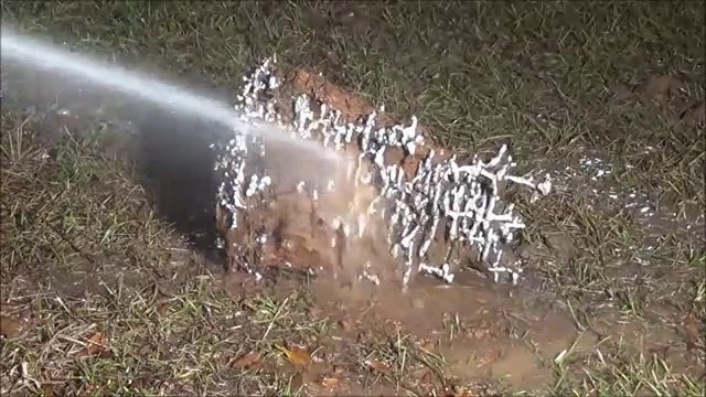 Il coule de l'aluminium en fusion dans une fourmilière pour faire une oeuvre d'art magnifique