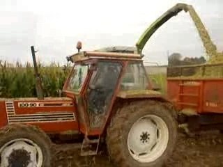 Ensilage 19 080