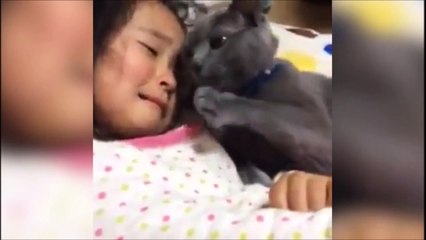 So cute cat trying to console a crying little girl