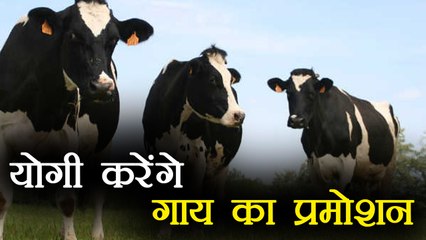 Yogi Adityanath  Govt to introduce sweets made of cow milk in temples |वनइंडिया हिंदी