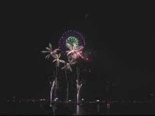 Fireworks festival (Han river, Korea)