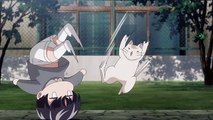 Keppeki Danshi! Aoyama-kun Episode 2~ Cat and Aoyama Scene