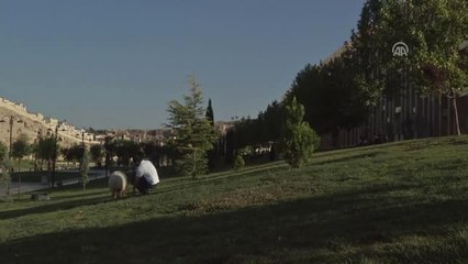 Kuzusuyla Dostluğu Şaşırtıyor