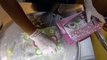 ICE CREAM ROLLS Street Food - MATCHA MOCHI Wafer w Peanut ex Matcha Green Tea Choco Biscuit Topping