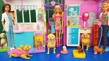 Barbie Cuida dos Animais No Hospital dos Bichinhos Tia Fla