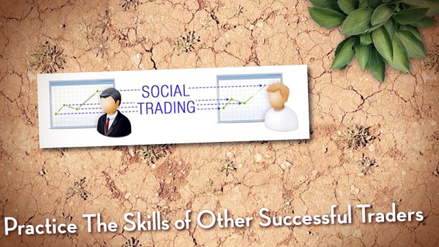 Online Trading Platforms