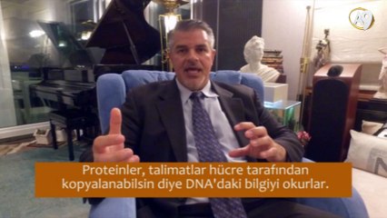 Dr. Fazale Rana: "Protein sentezi: Tüm tavuk ve yumurta problemlerinin ana kraliçesi"