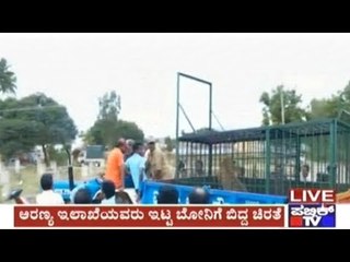 Forest Officials Captured Cheetah In Kolar