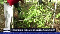 ATANGI ANG NEWS BREAK SA PTV DAVAO KARONG HAPON | 11,000 ka punuan sa klase-klasing seedlings, gipangtanum sa Davao City