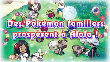 Introduction des Formes d’Alola et des capacités Z pour Pokémon Soleil et Pokémon Lune !