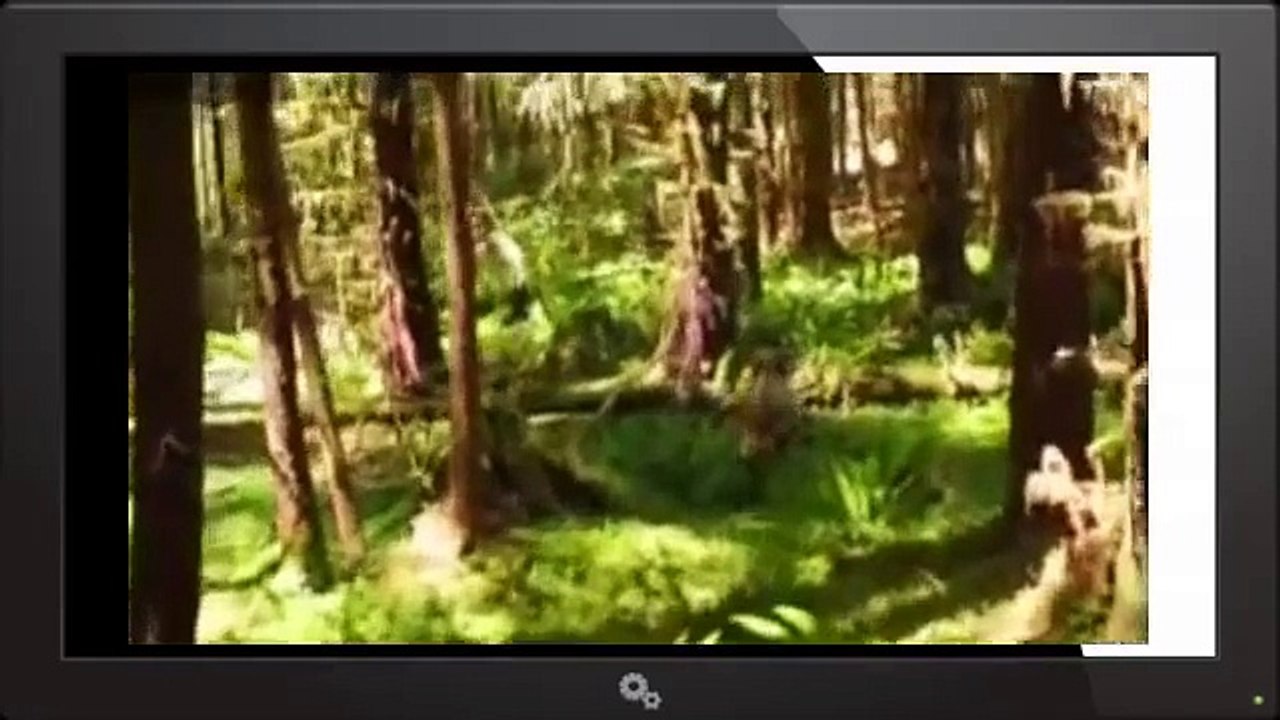 The Legend of Mick Dodge 2013 s 2 E 22