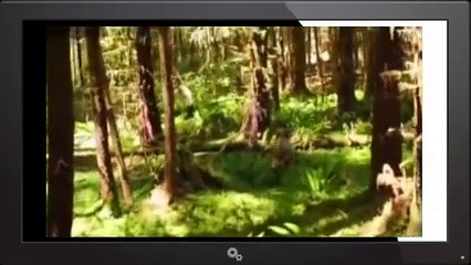 The Legend of Mick Dodge 2013 s 2 E 22