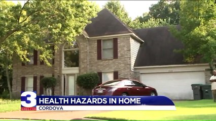 Family's Dream Home Turns into Termite-Infested Nightmare