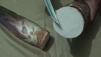 Health Benefits Of Arime.মানকচুর সাস্থ্য উপকারিতা।