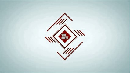 Orages dans le Sud-Ouest : un arbre tombé sur une voiture à Lormont