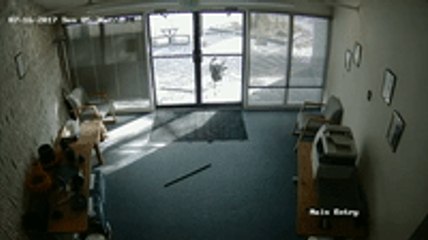 You've Goat to Be Kidding - Colorado Office Break-In Carried Out by Unlikely Culprit