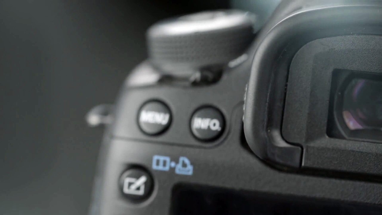 Für alle Fotografinnen dort draussen. So kann deine Logoeinblendung aussehen