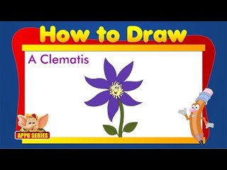 Learn to Draw Flower - Draw a Clematis