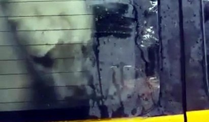 Araçta havasız kalan hayvanları vatandaşlar kurtardı