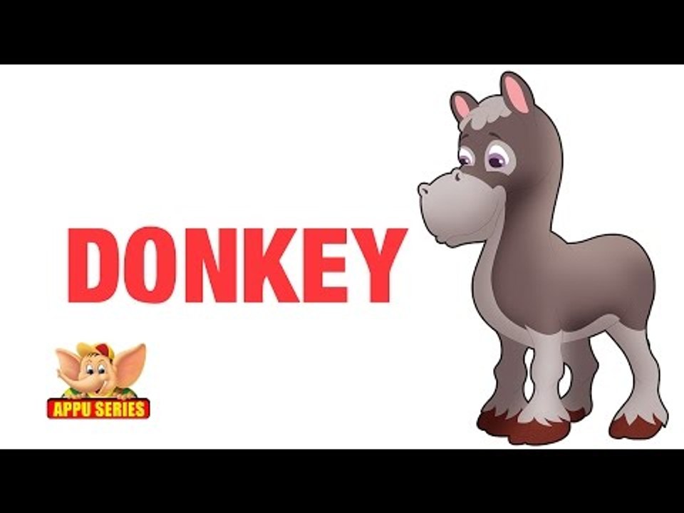 Animal Sounds - Donkey - video Dailymotion