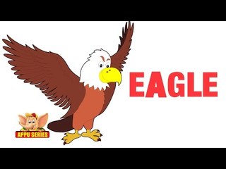 Animal Sounds - Eagle