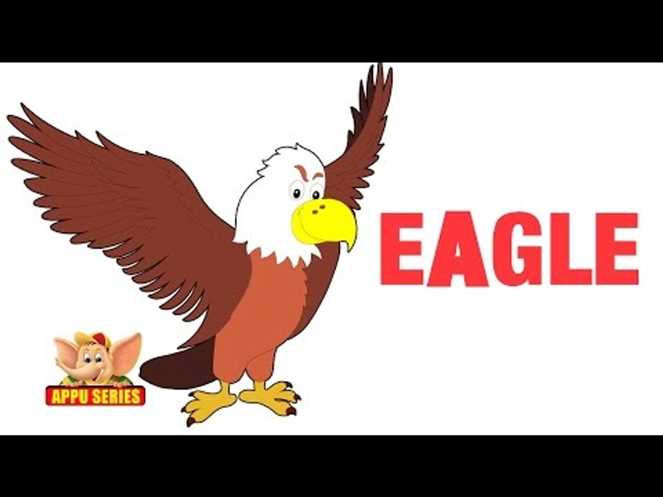 Animal Sounds - Eagle