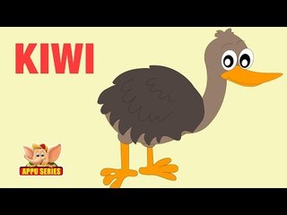 Animal Sounds - Kiwi