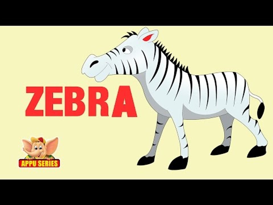 Animal Sounds - Zebra