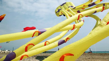 Dixie Land documentary 2016 - Trailer