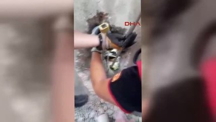 Ordu Su Borusunda Mahsur Kalan Yavru Köpekler Itfaiye Tarafından Kurtarıldı