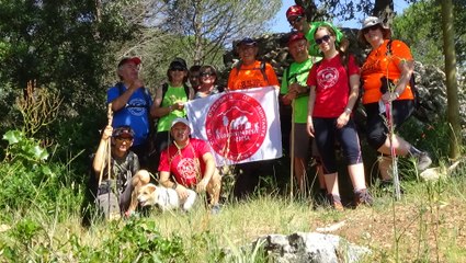 Surar de Pinet-Llutxent - Corresendes XRS