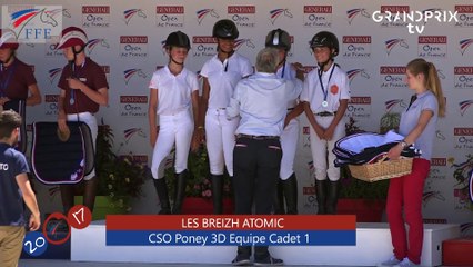 CSO Poney 3D Equipe Cadet 1