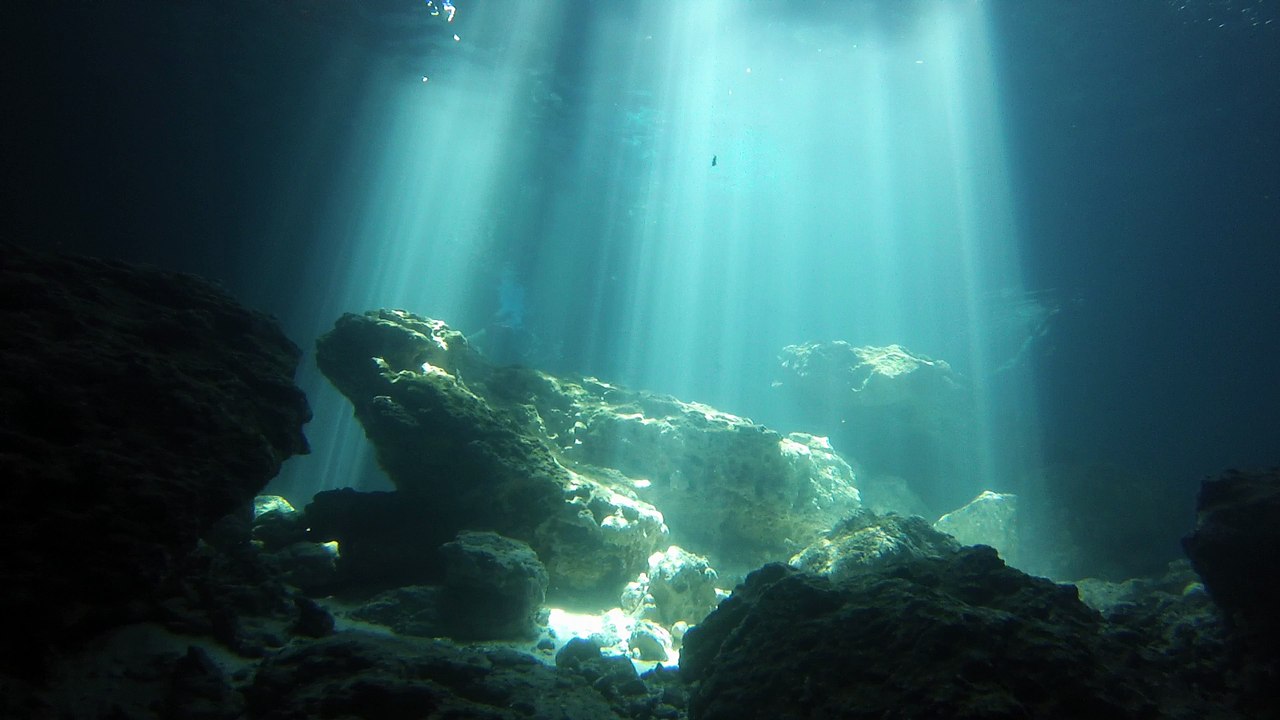 Dive Into Devil's Den in Florida