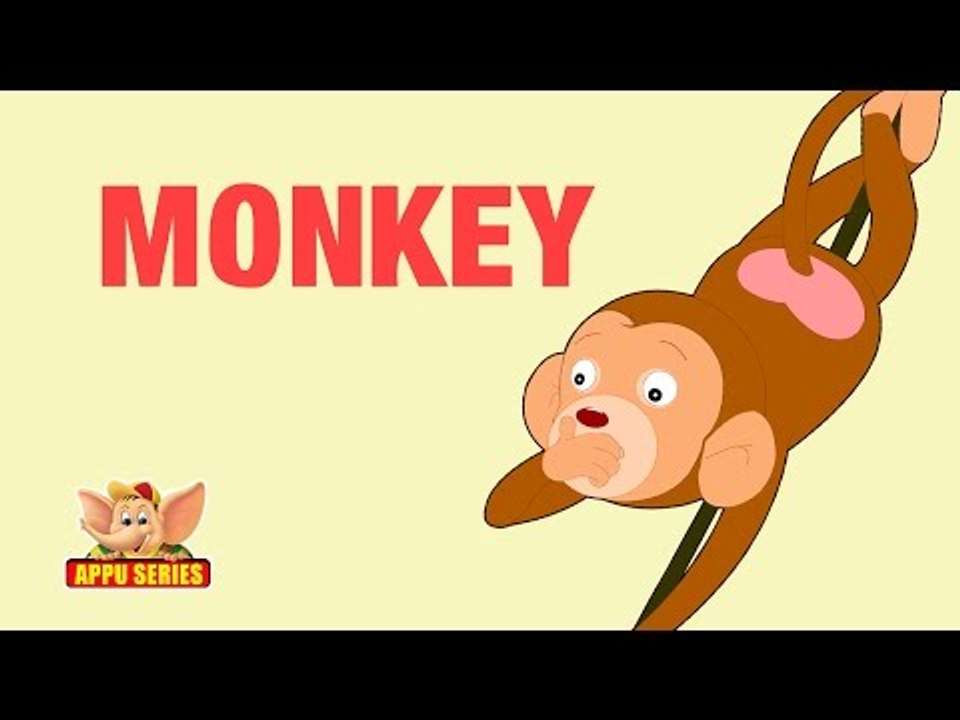 Animal Sounds - Monkey