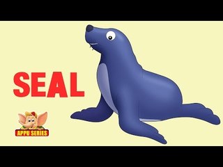 Animal Sounds - Seal