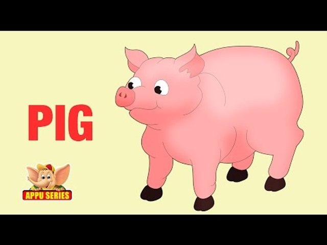 Animal Sounds - Pig - video Dailymotion