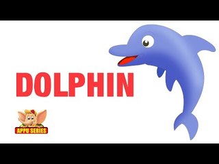 Animal Sounds - Dolphin