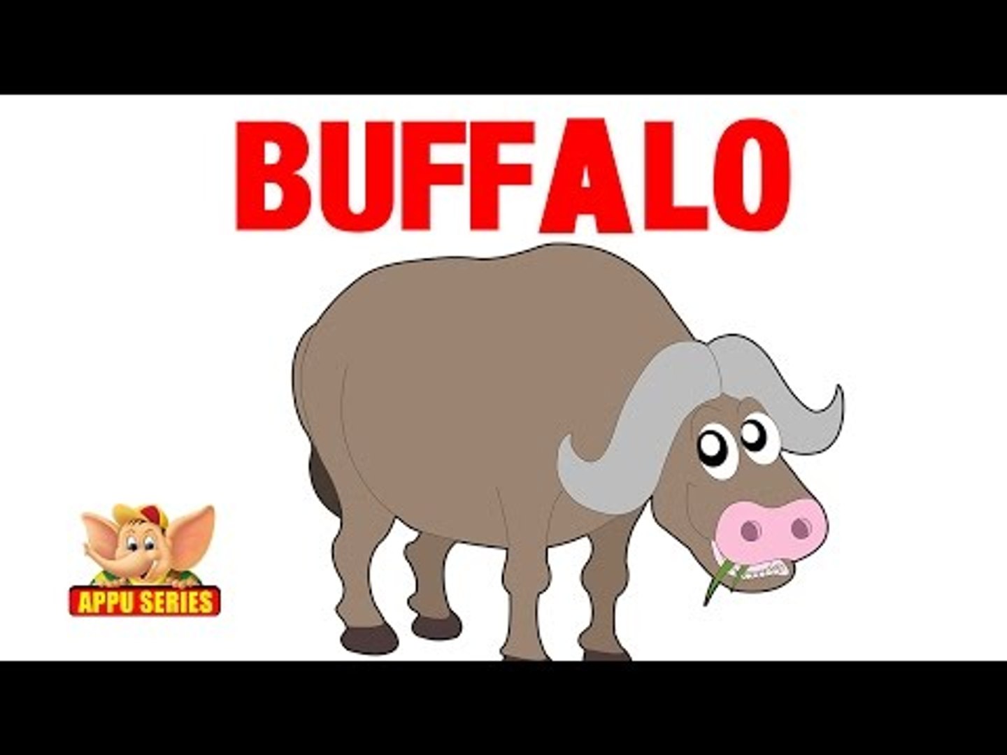 Animal Sounds - Buffalo - video Dailymotion