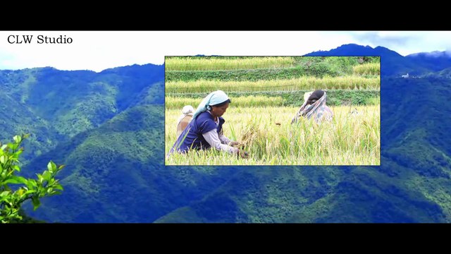 Nagaland Documentary [हिंदी] || Nagaland India || Nature of Nagaland