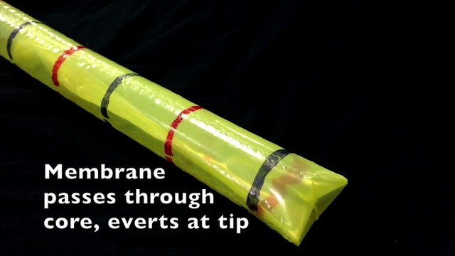 Soft Robot That Navigates Through Growth