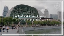 Discovering the World of Art in Singapore's Esplanade