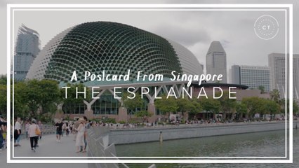 Discovering the World of Art in Singapore's Esplanade